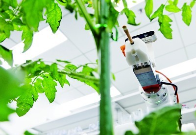 首臺(tái)全流程智能育種機(jī)器人亮相，引領(lǐng)生物科技研究新浪潮