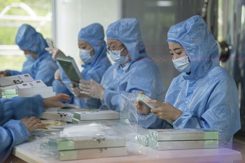 有綠、有技、有特色 鄉(xiāng)村振興新活力中的生物科技力量