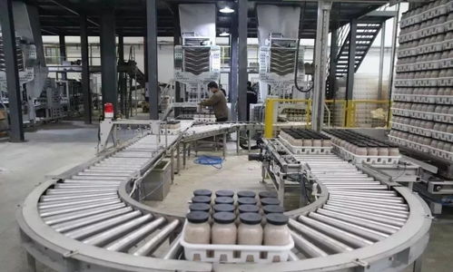 科技賦能農(nóng)業(yè)新篇章 西南最大食用菌工廠化項目在萬盛投產(chǎn)，引領(lǐng)生物科技新突破